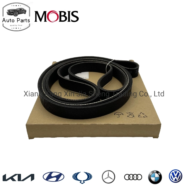 OEM 25212-2g100 Dynamo Belt V Belt Engine Belt Grooved Belt Automobile Generator Belt 6pk2576