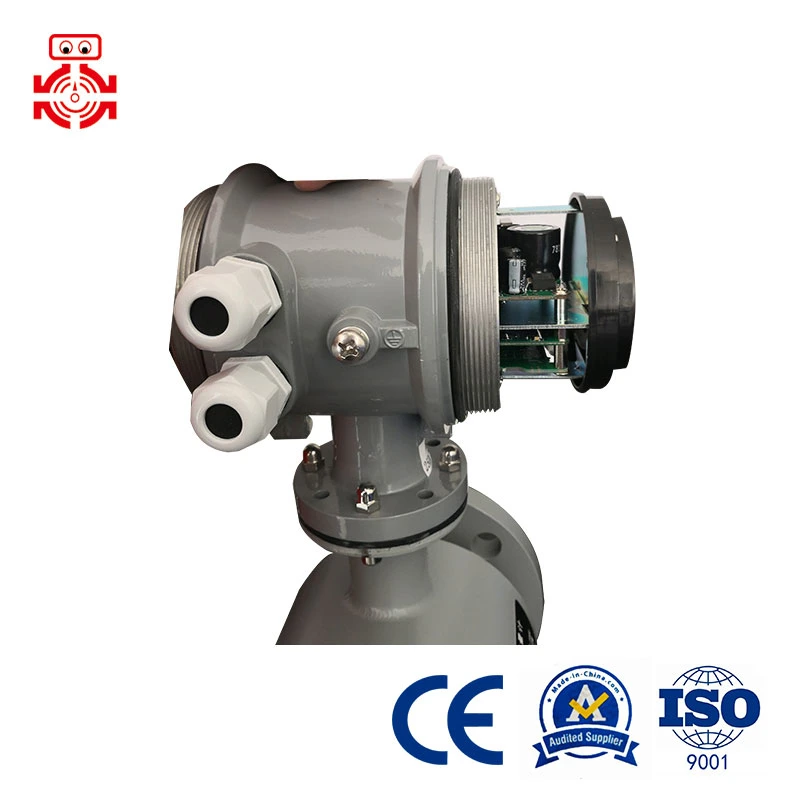 Intelligent Lanshen Meter Head Electromagnetic Flowmeter 485 Tetrafluoro-Lined Sewage DN32