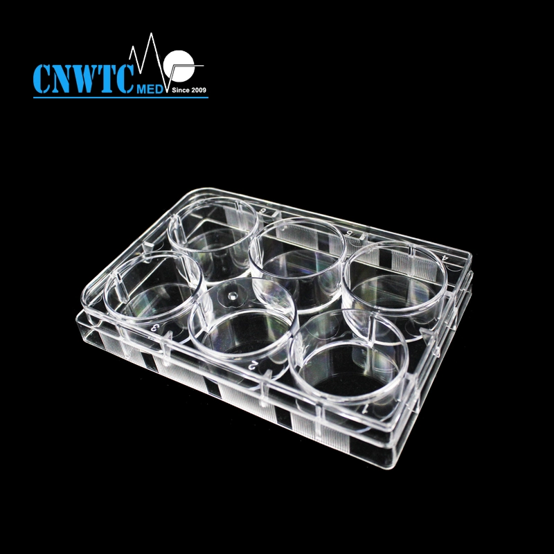 Laboratory Disposables PS Transparent Sterile Tissue Culture Plate with Cover