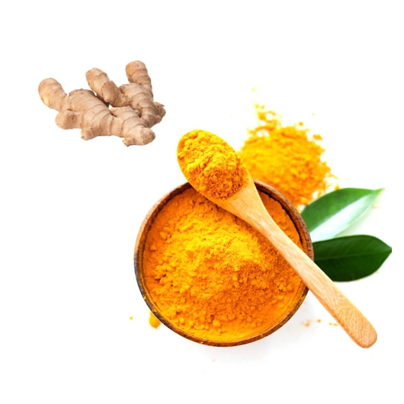 Qualitätssicherung Pflanzenextrakte Curcumin Kurkuma Wurzel Extrakt in Pulver Kurkuma