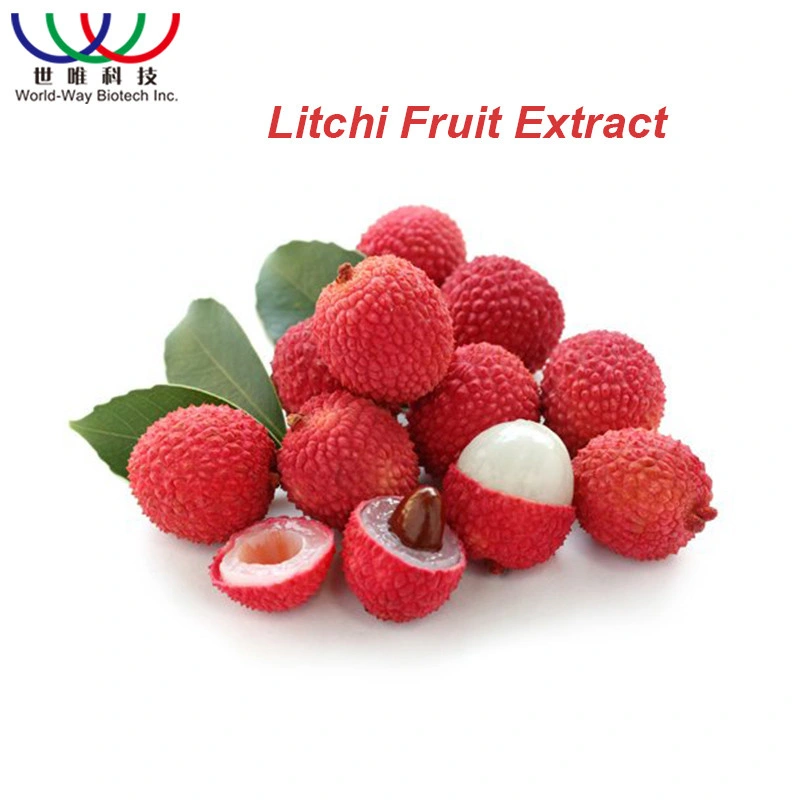 Top-Qualität Bulk Preis 100% Reine Getrocknete Lychee Litchi Extrakt Pulver