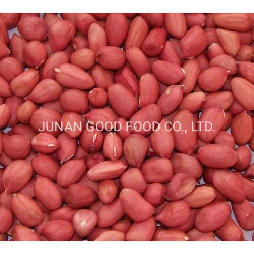 Hot Sale Peanut and Groundnut Without Shell Peanut