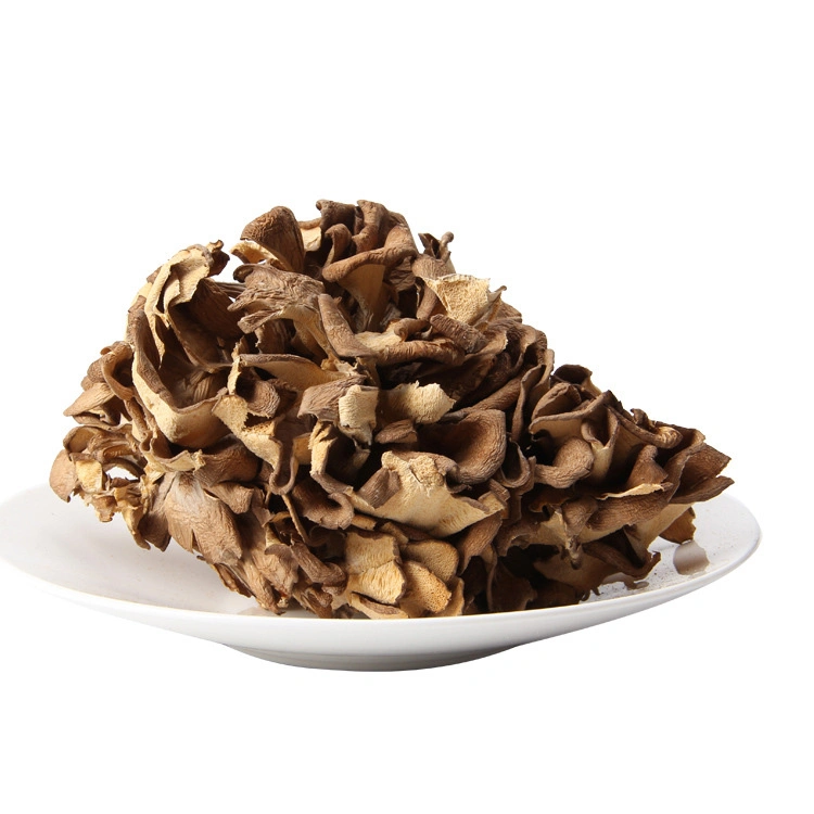 Organic Extract Maitake Food-Grade Herbal Extract Maitake Mushroom Extract Powder