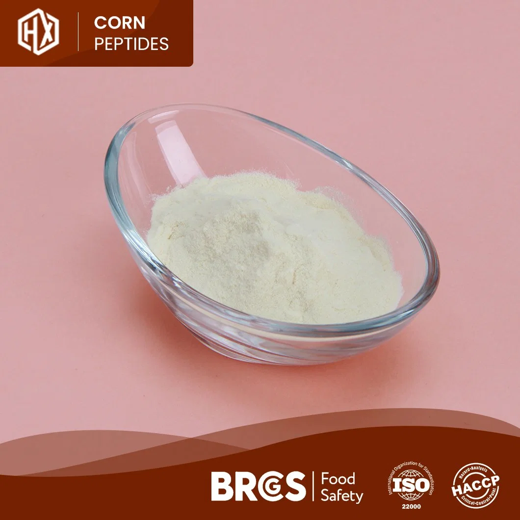 Haoxiang China Food Grade Cornbean Powder Supplement Cheap Price 100% Pure Cornbean Peptides Hydrolyzed Corn Peptide Cusom Food Grade Corn Peptide Powder