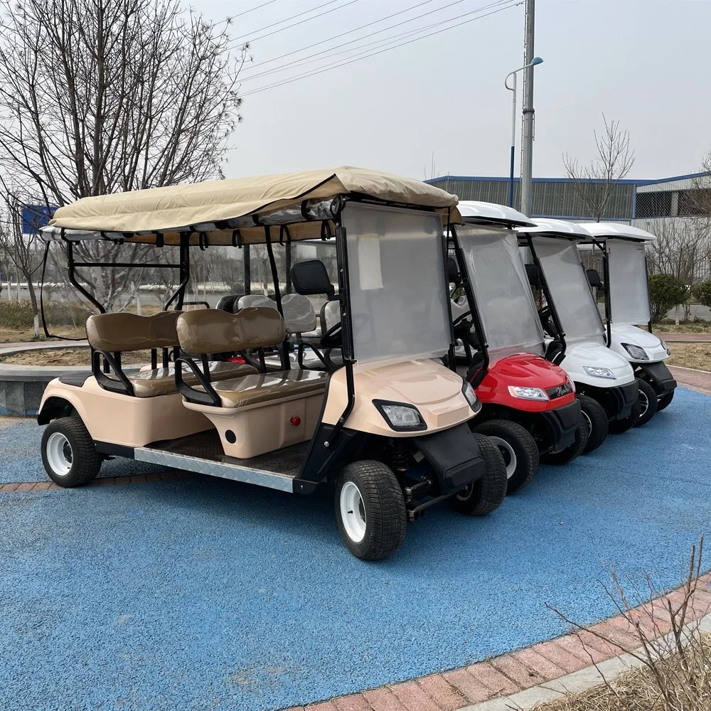 6 sièges des voiturettes de golf électrique