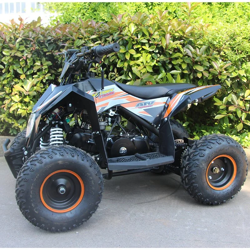 Electric Kids ATV 36V 500W Sports ATV Electri Start