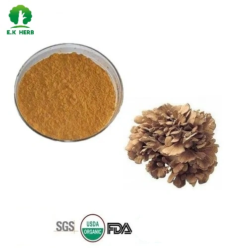 E. K Herb Plant Extract Factory ISO Certified China Manufacturer Supply Organic Maitake Mushroom Extract 10%~50% Polysaccharide Grifola Frondosa Extract