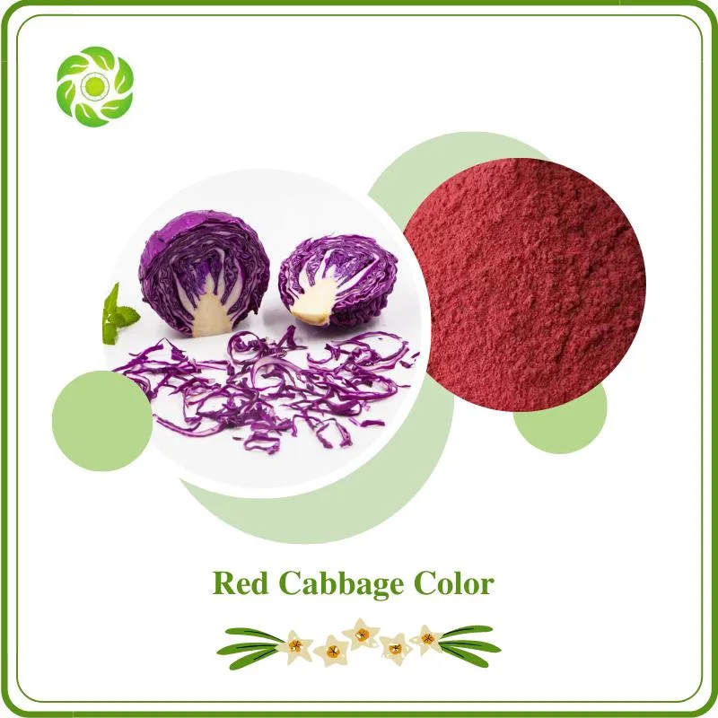 World Well-Being Biotech ISO&FDA Certified Food Additive Natural Color Food Pigment Red Cabbage Color