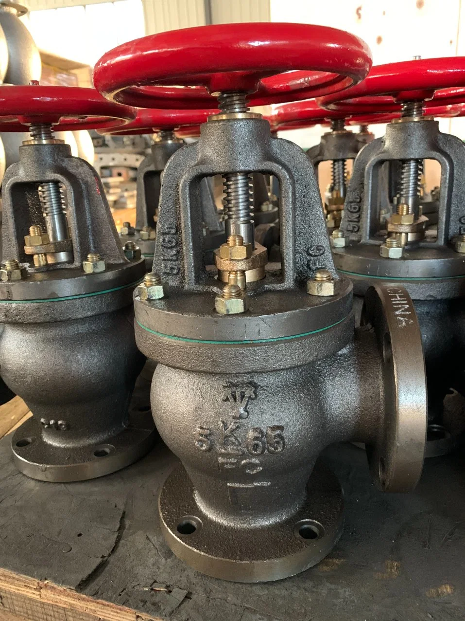 Angle Check Valve JIS F7354 Cast Iron Marine Valve 5K with High quality/High cost performance 