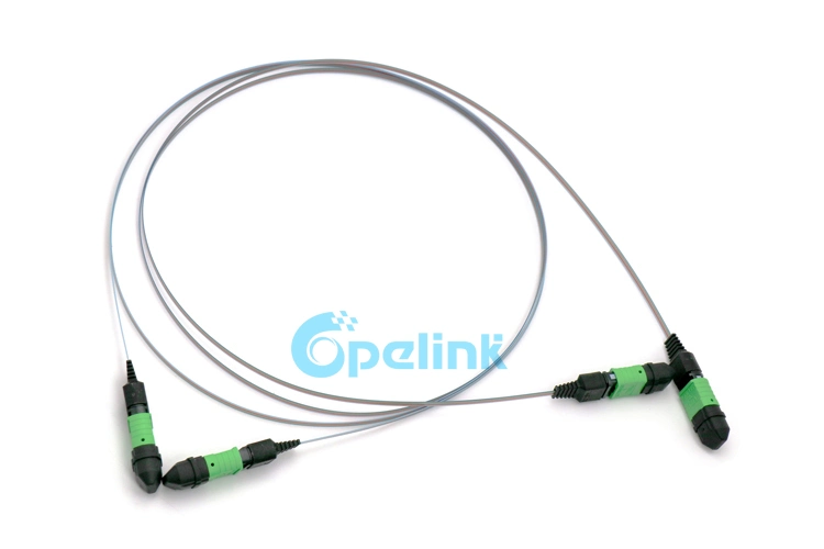 High-Density MPO/APC-MPO/APC Ribbon Fiber Optic Jumper