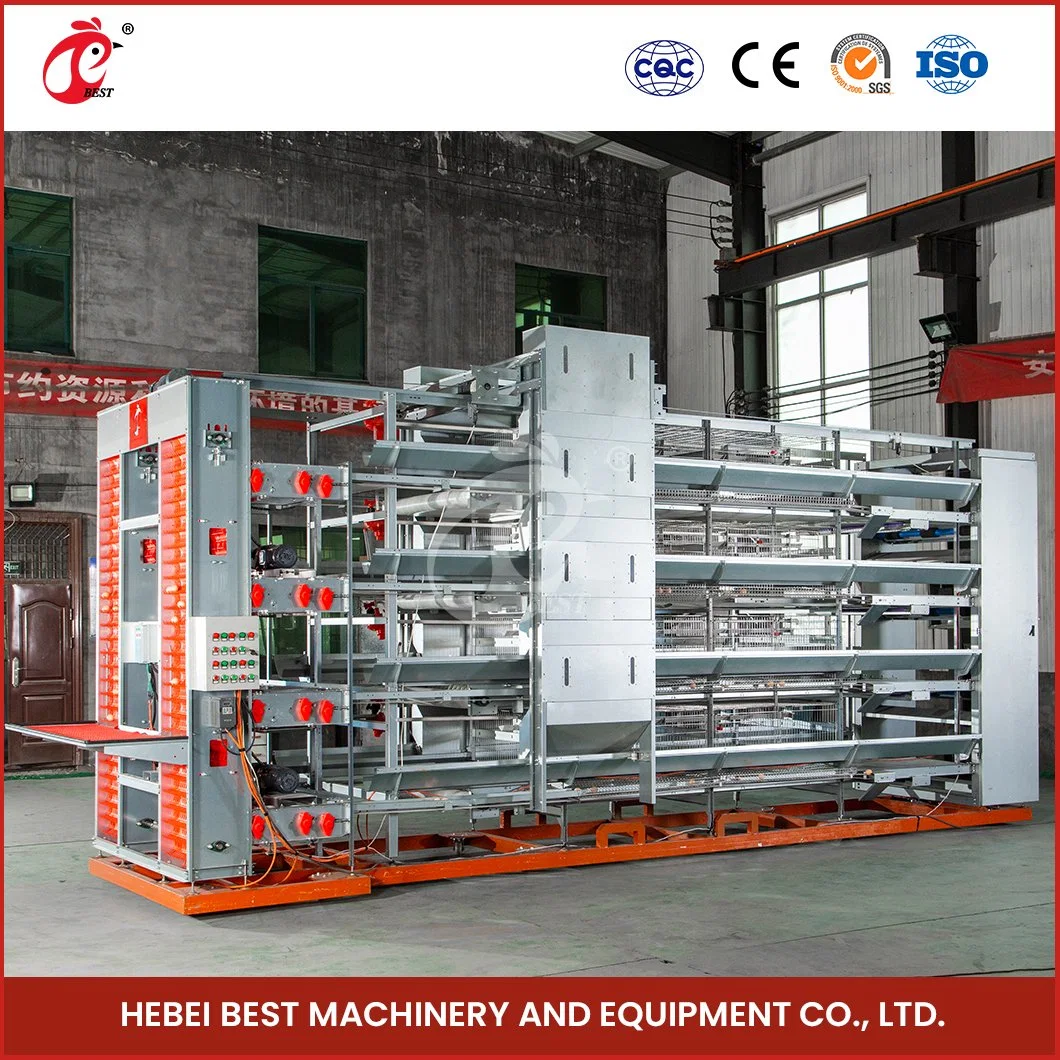 Bestchickencage H Type Layer Cage China Superior Construction Chicken Layer Coop Factory Custom Automatic Manure Removal System Designs Chicken Egg Layer Cages