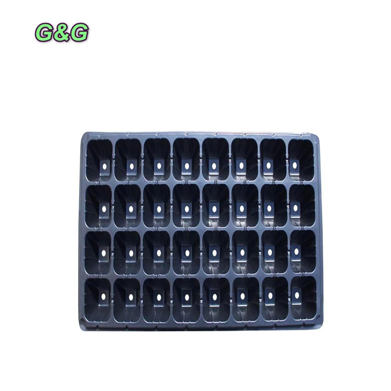 Tray Hydroponic Flat 1020 with or Without Holes for Planting Microverts Wheatgrass Rice Seedling Tray