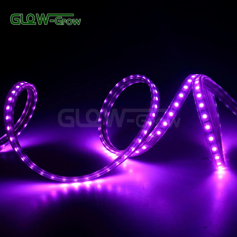 SMD 5050 RGB LED Chip Strip Light for Restaurant Decoration