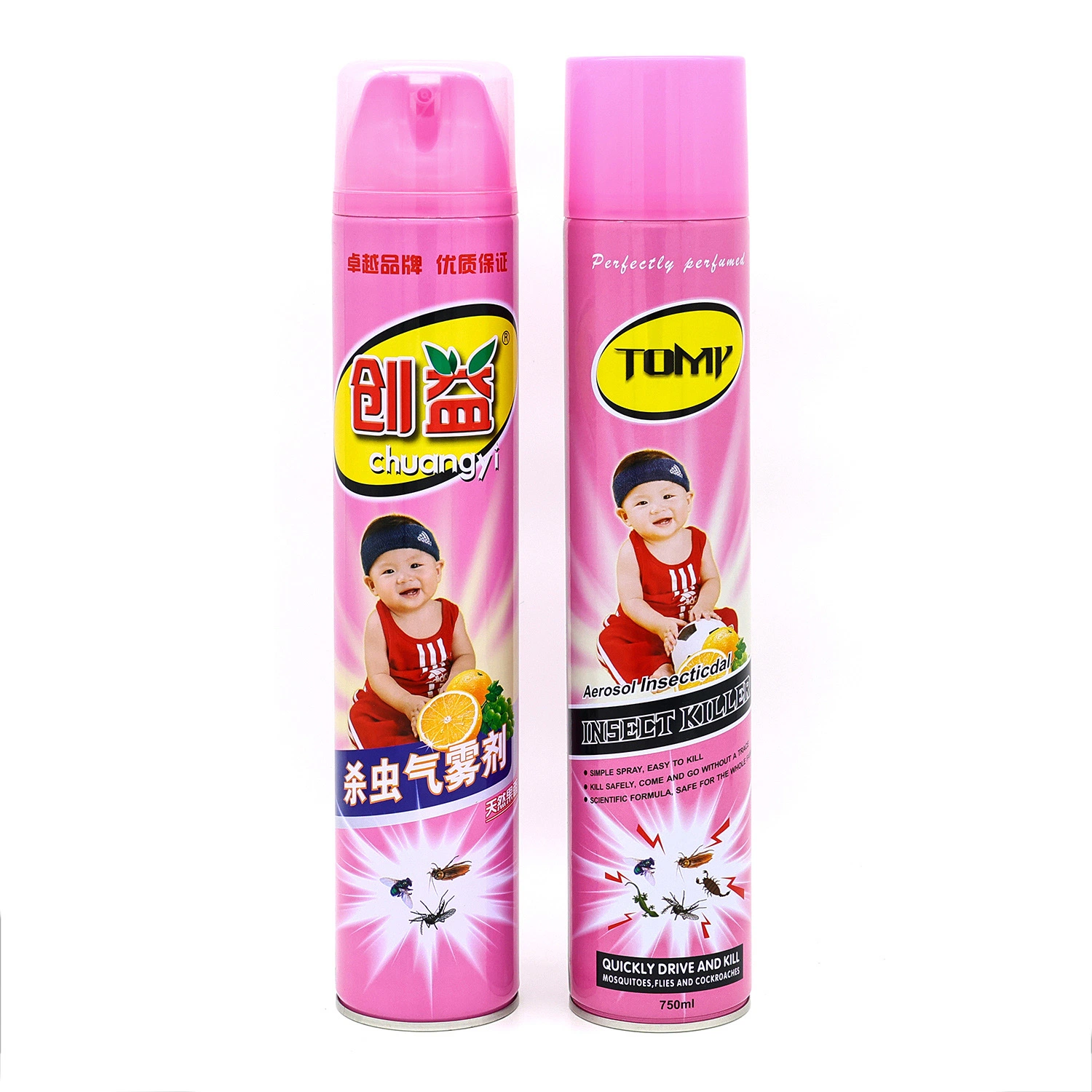 Insecticide Aerosol Spray Cockroach Ant Spray Killer Insect