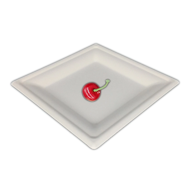 Eco Friendly Biodegradable Disposable Compostable Square Dish, Sugarcane Bagasse Square Plate