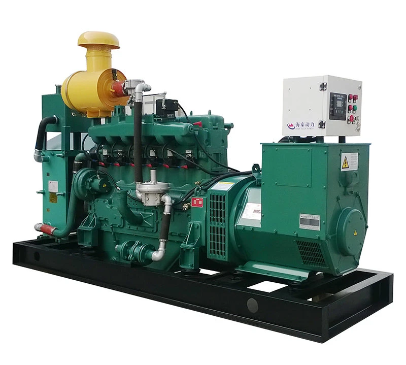 Natural Gas Electronic Engine for Sale 10kw 20kw 50kw 100kw 200kw 500kw Biogas Generator