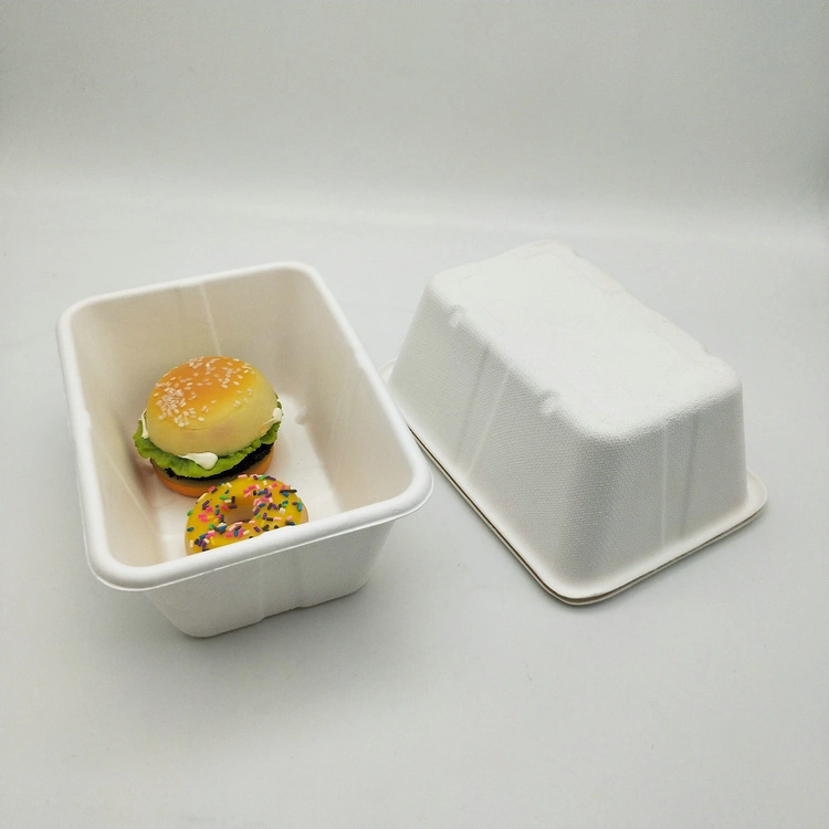 Disposable Degradable Biodegradable Food Packaging Tableware Lunch Box Sugarcane Bagasse Food with Lid 500ml 650ml Paper Tray