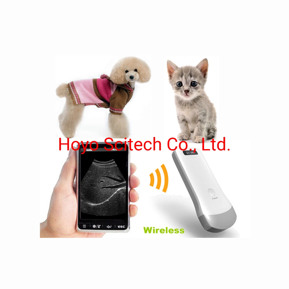 Animal Doppler Ultrasound Diagnostic Apparatus Portable Doppler Ultrasound