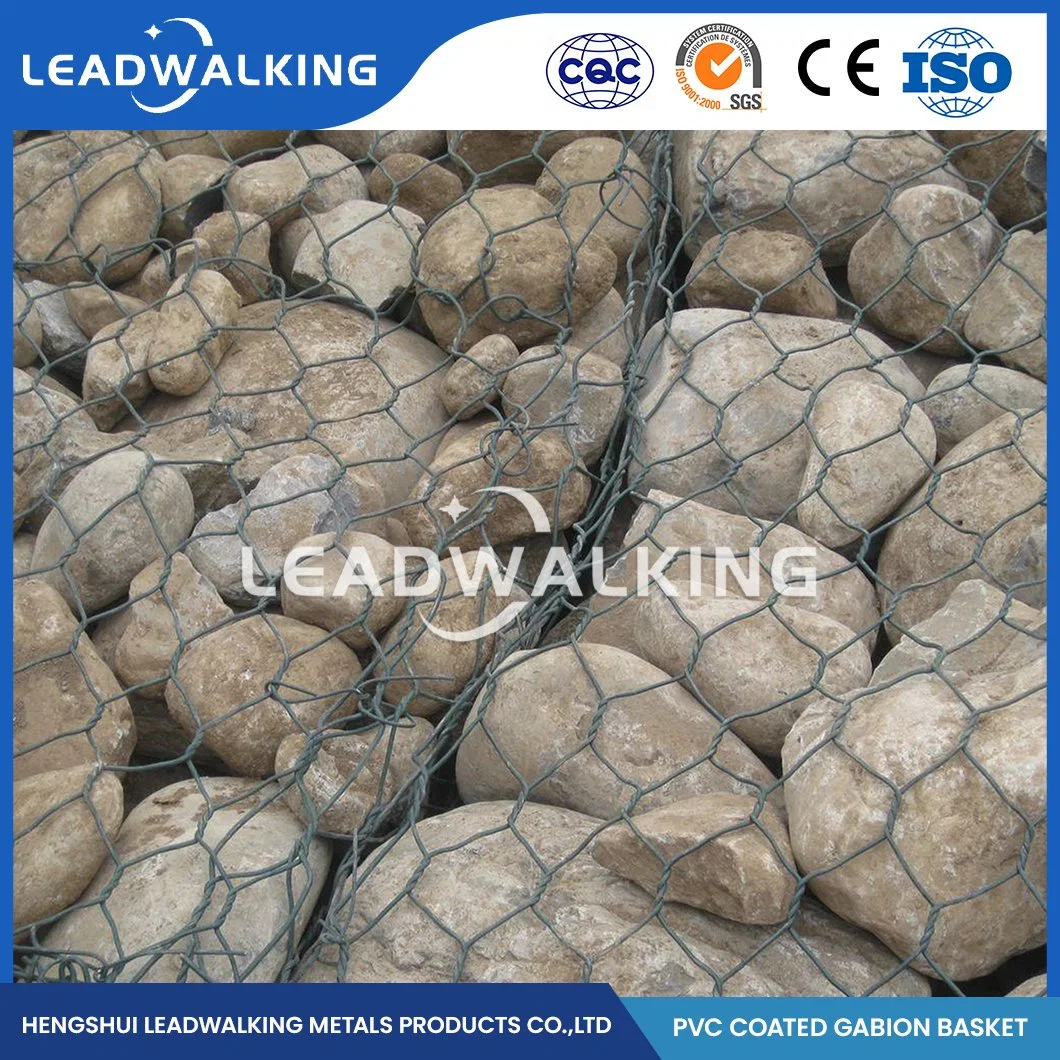 Leadwalking 2.0*1.5*1.0 Size Double Twist Hexagonal Wire Mesh Gabion Rust Prevention Galvanized Hexagonal Gabion Box China PVC Coated Gabion Mesh Box