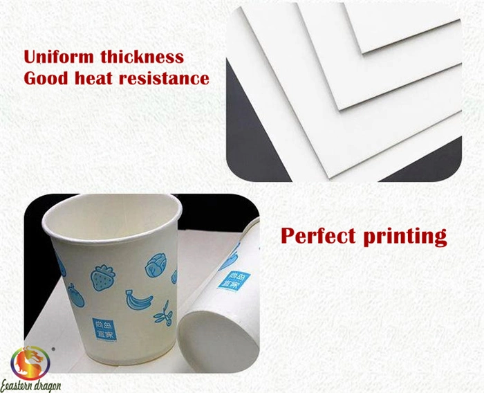 Direct Factory Customized Coffee Paper Cup Raw Material