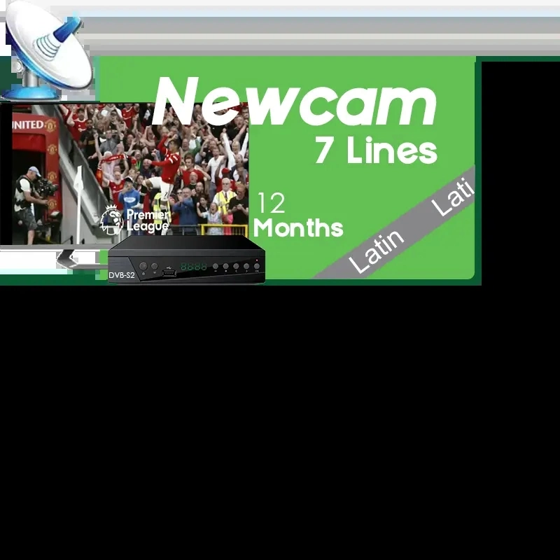 Stable Server 8 Lines Cccam Agent for Europe Spain Portugal Poland Oscam Icam Newcam Magcam Germany for Satellite TV Receive