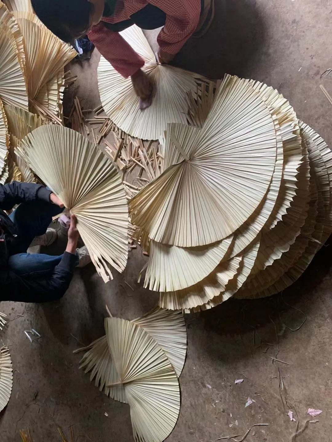 Wholesale/Supplier Artificial Leaves Artificial Natural Processed Dried Palm Leaves Dry Fan Leaves for Wedding Flower Arrangement