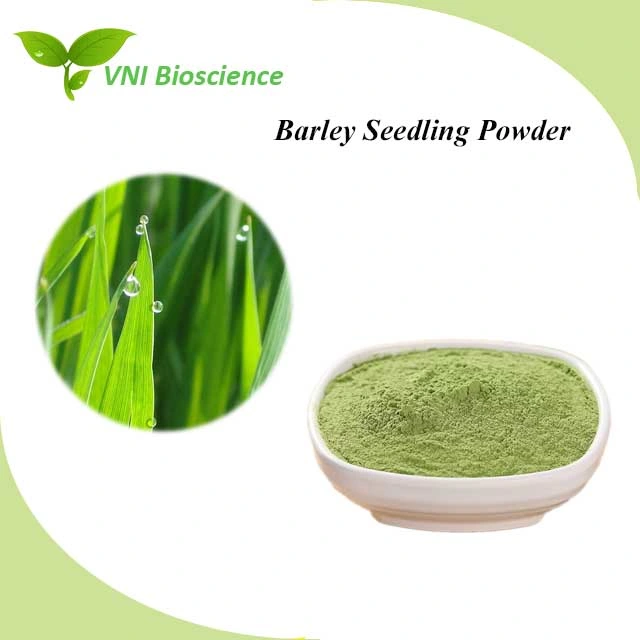Organic Certified 100% Natural Juice Powder Organic Barley Grass Powder for Enhancing Immunity