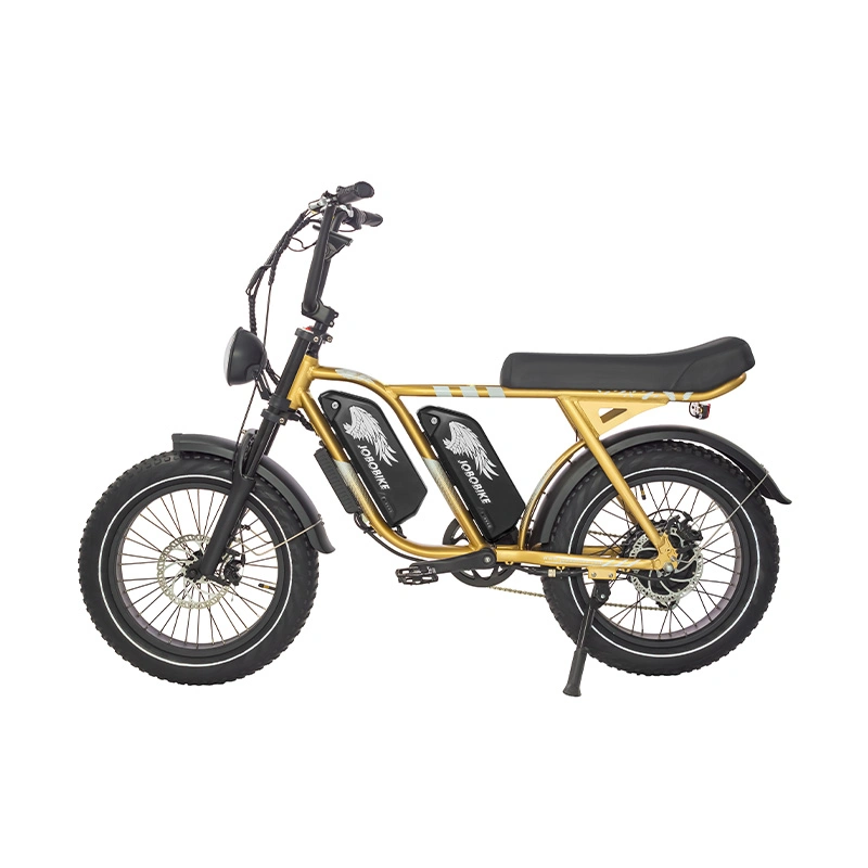 Offroad 1000W Electric Fat Tire Retro Bike 52V 15ah Dual Battery 20 Inch MTB Ebike Electric Bicycles