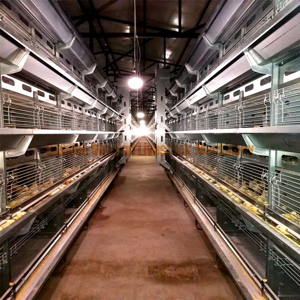 Chinese-Factory Supply Poultry Layer Pullet Cage for Thailand Chicken Farm