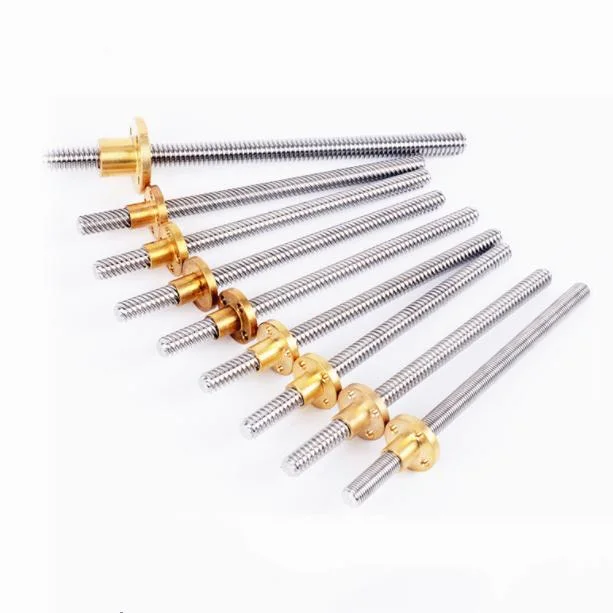 T10 Tr10*2 304 Stainless Steel 10mm Trapezoidal Lead Screw 700mm with Customized POM or Brass Brass Nut