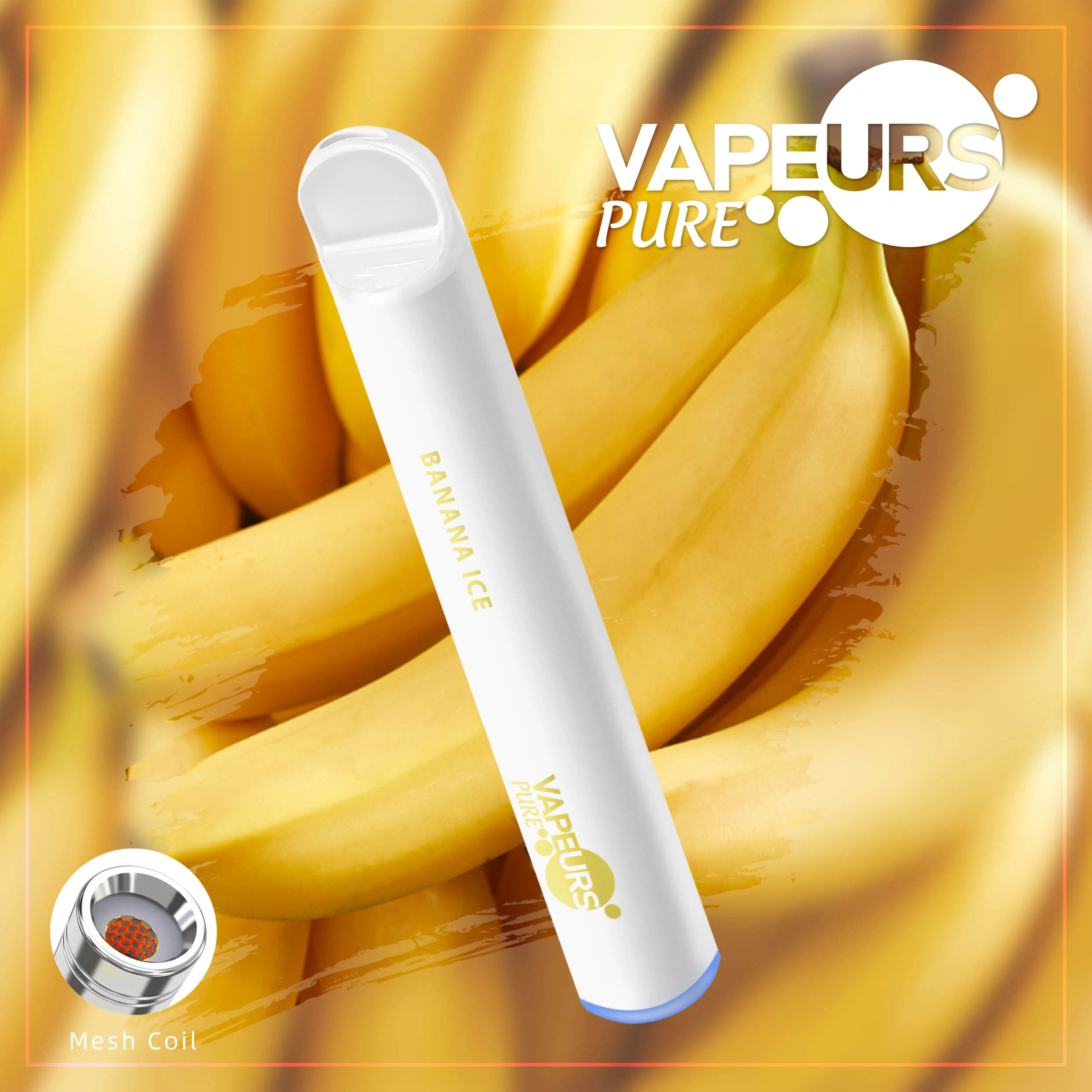 Vapeurs Pure White Electronic Cigarette Health Disposable/Chargeable 600 Puffs Vape Kits Price