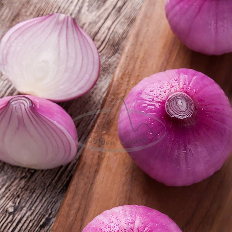 سعر الجملة 100 ٪ الأحمر الطبيعي Onion لسوق فيتنام