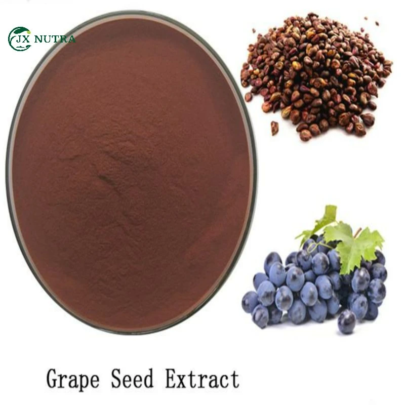 Boa água Solubilidade 70% ~ 90% polifenóis Vitis vinifera Extract Grape Seed Extrair