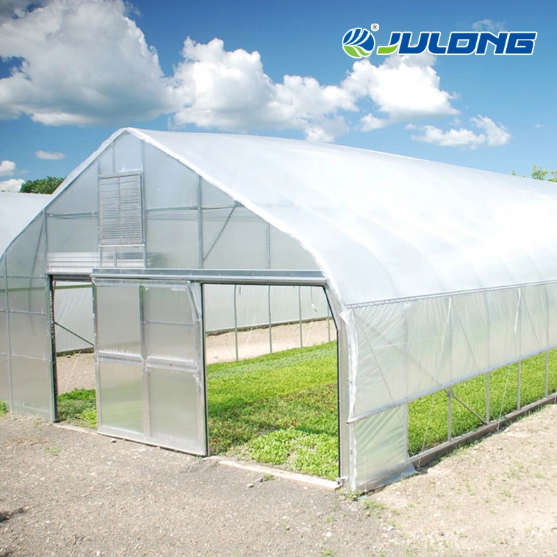 Smart Farm Hydroponics Growing System Single-Span Tunnel Film Greenhouse