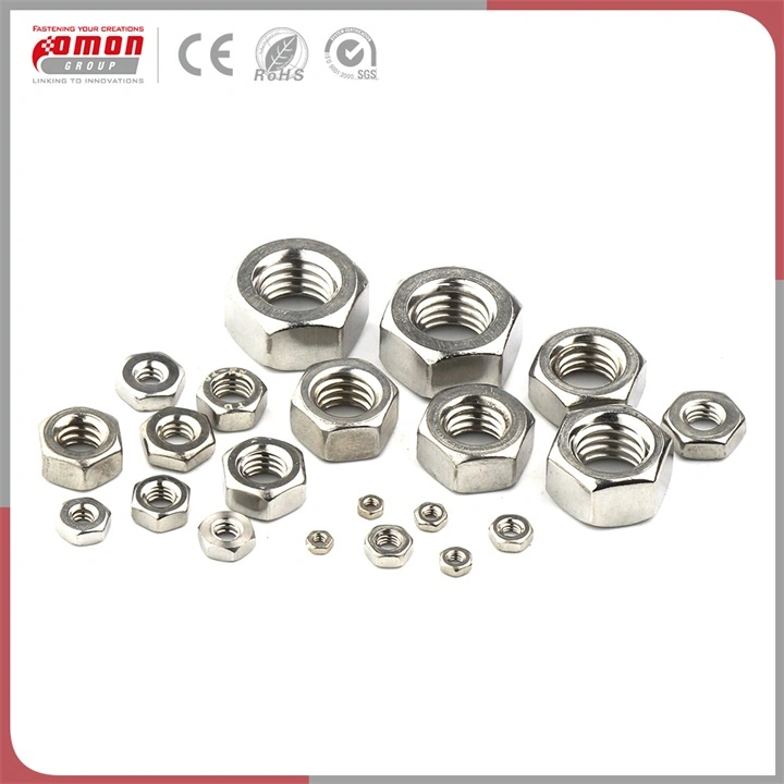 OEM Bolt Brass Stainless Steel Hex Rivet Nut for Building