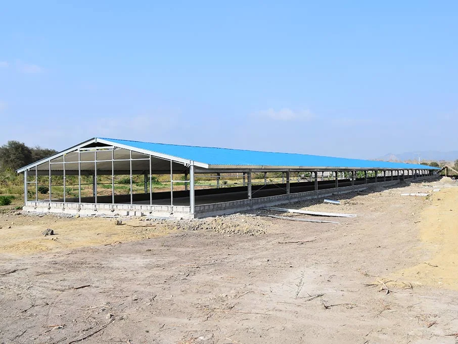 Poultry Equipment with Structural Steel Chicken House for House
