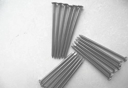 Construction Nails/Steel Concrete Nails/Common Iron Nail for Building Material