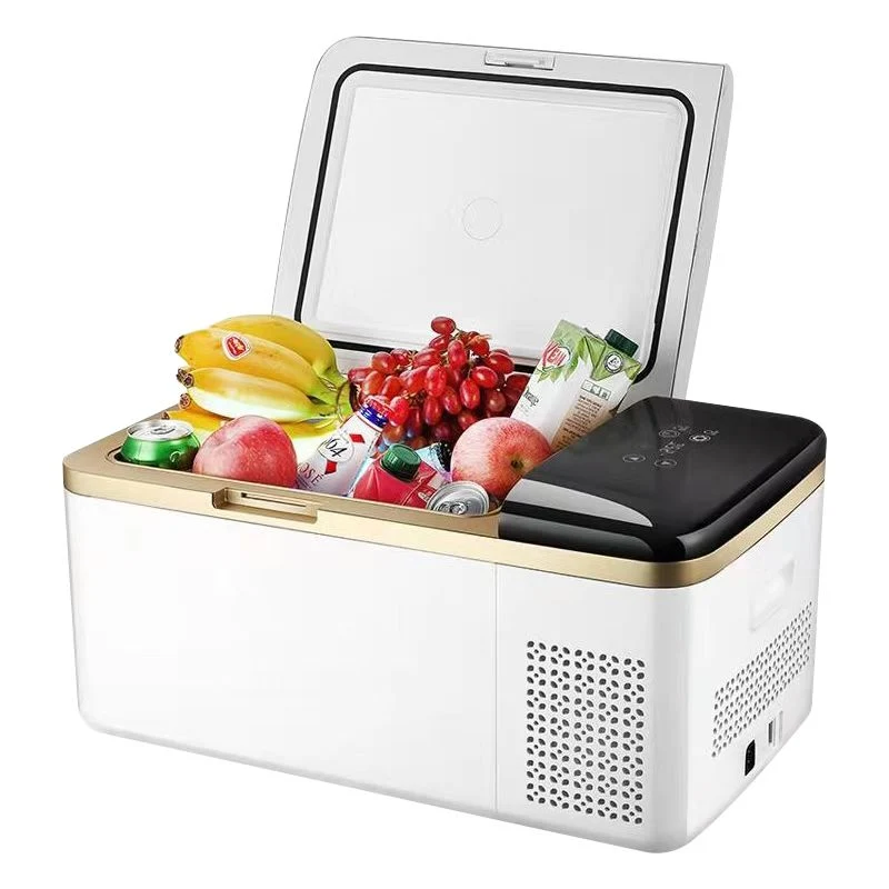 20L Camping Electric Portable Mini Desk Fridge with Warmer and Cooler DC 12V, AC 100V-240V