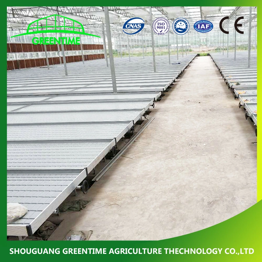 4X8' Movable Greenhouse Rolling Bench Ebb and Flood ABS Tray for Sale