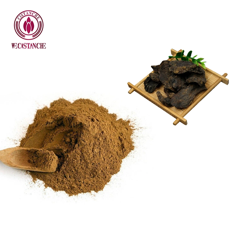 OEM 1-45% Echinacoside 1-20% Acteoside Plant Extract Cistanche Tubulosa Powder 100% Natural Supplements