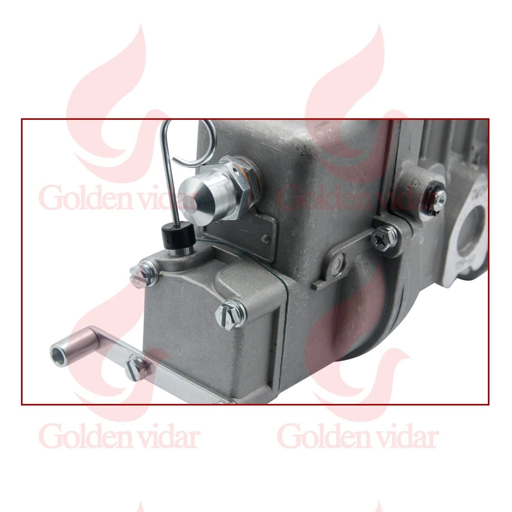 Golden Vidar Diesel Fuel Injection Pump 4pl1306 for Luotuo 4108t for Denso Engine