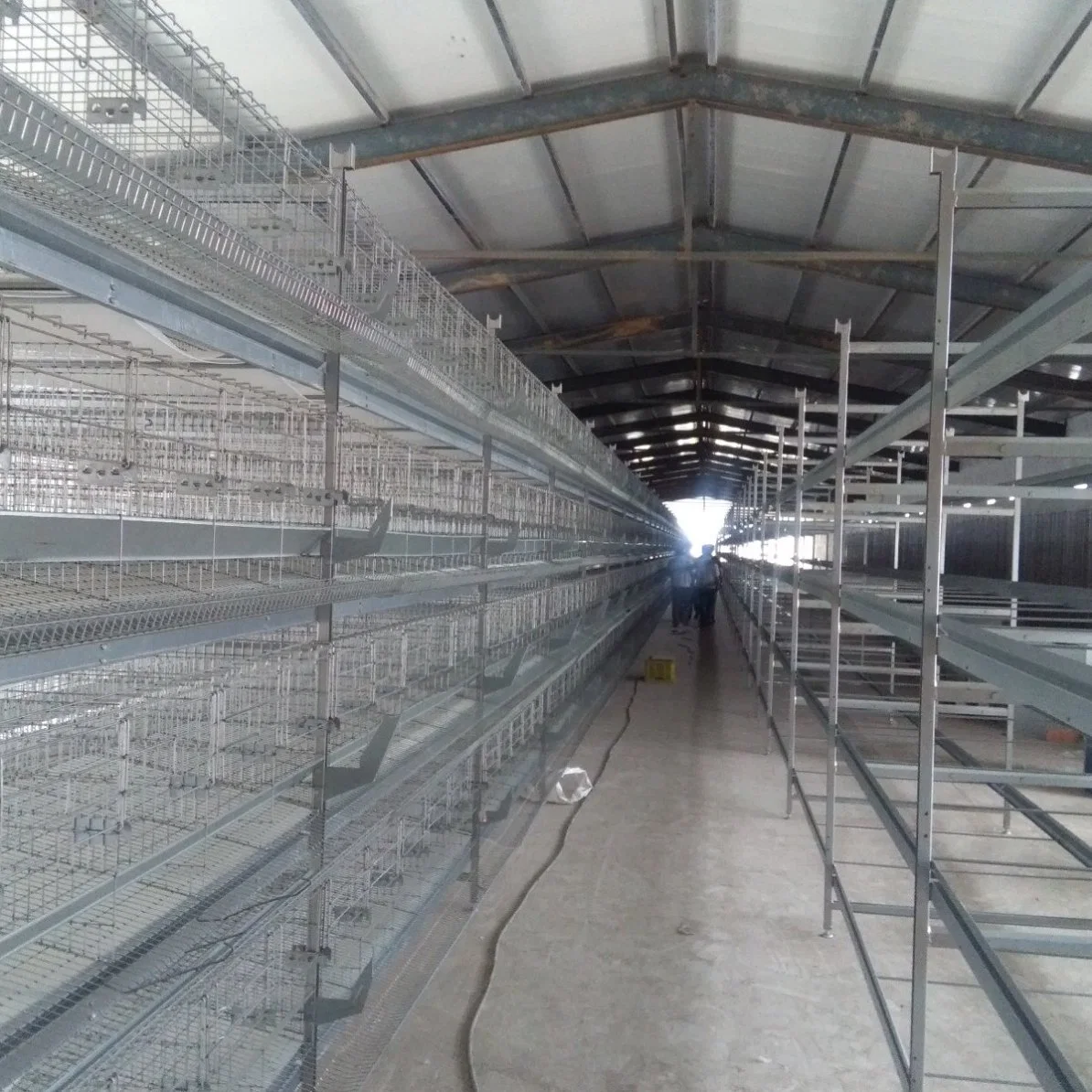 Acero inoxidable galvanizado montaje rápido Pollo Coop