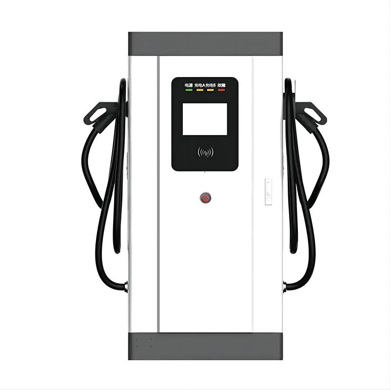 Nancome Vehicle DC EV Fast Charger Station for Electric Car CCS2 CCS1