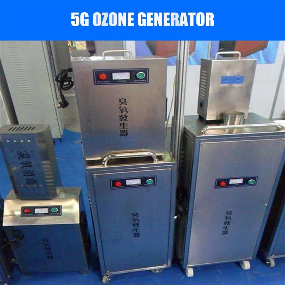 Purificador de agua industrial Ozonator 10G 3G generador de ozono