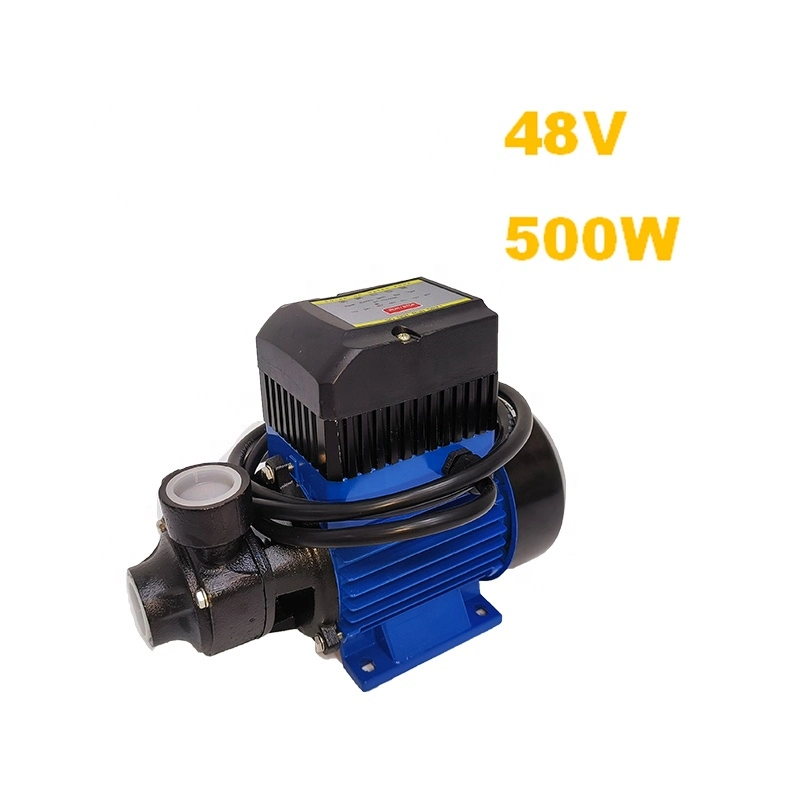 Sqb2,1/50-D48/500 48V 500W Jilu Solar-Peripheriepumpe SQB Pumpenoberfläche Tragbare Pumpe für Bewässerung