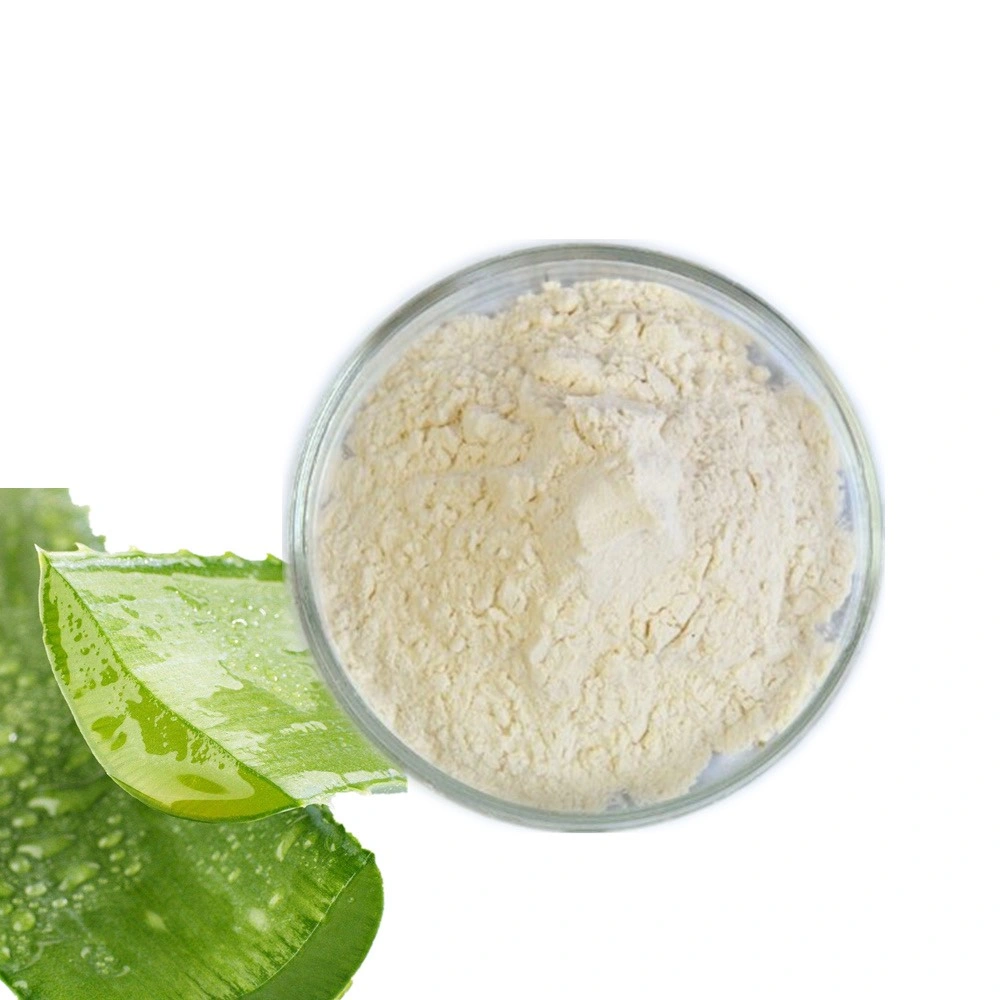 200: 1 Aloe Vera Gel Freeze Dried Powder