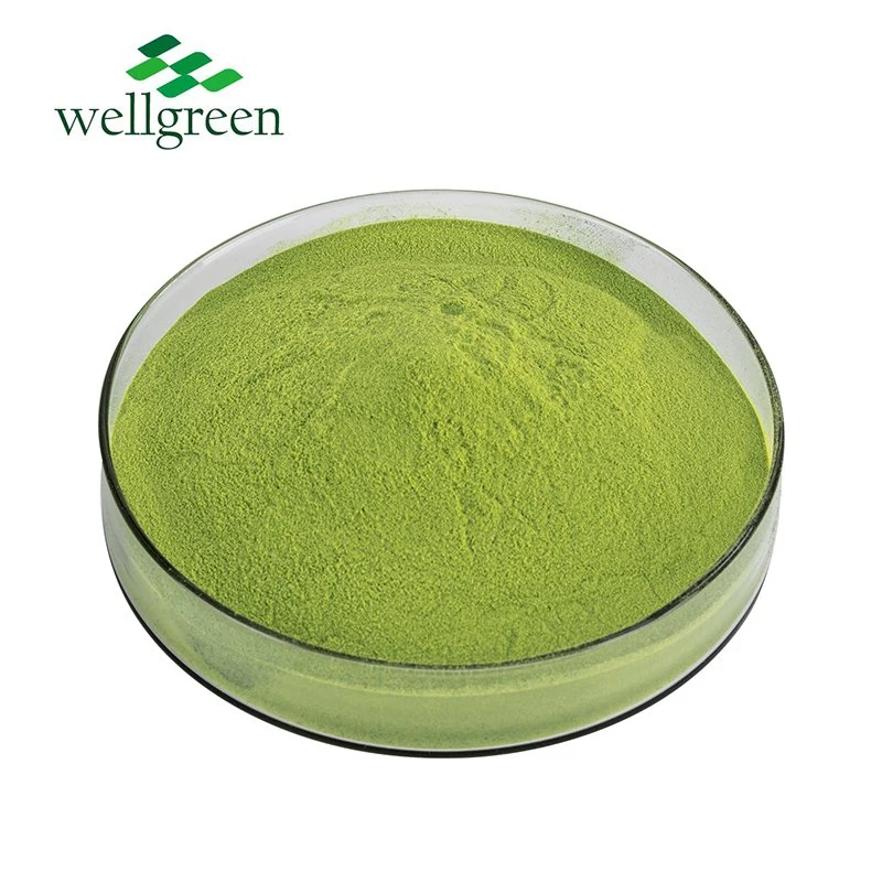 Высокое качество Wellgreen зеленый USDA сертифицированных органических напиток Matcha порошок