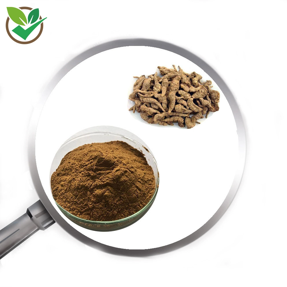 Chinese Traditional Herb Medicine Radix Rehmanniae Extract