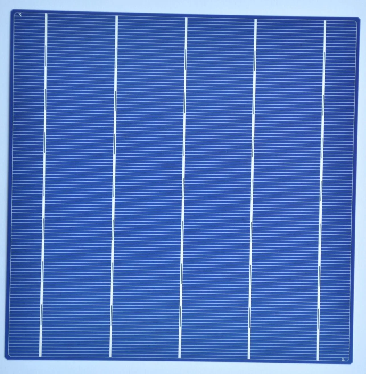 18.5 Poly Solar Cell for 275W Panel Module 5bb