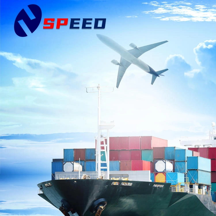 International Sea/Air Shipping From China to France, Germany, Italy Freight Door to Door DDP/DDU